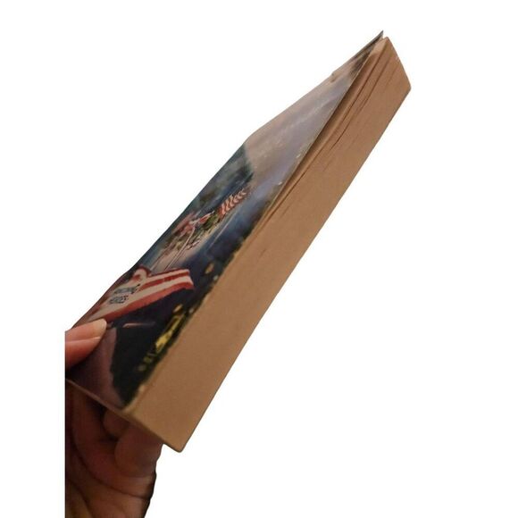 Homefront holiday by Jillian Hart steeple hill books isbn 9780373875085 - Picture 4 of 5